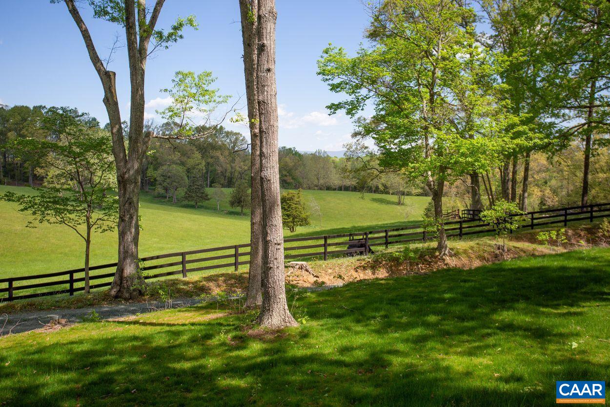 3923 Free Union Road Charlottesville, VA 22901 - Photo 45 of 52 a view of a park with large trees