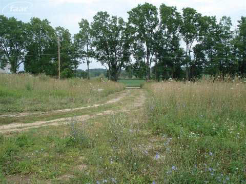 5548 East Bennington Road Durand, MI 48429 - Photo 2 of 42 20416127-1.JPG