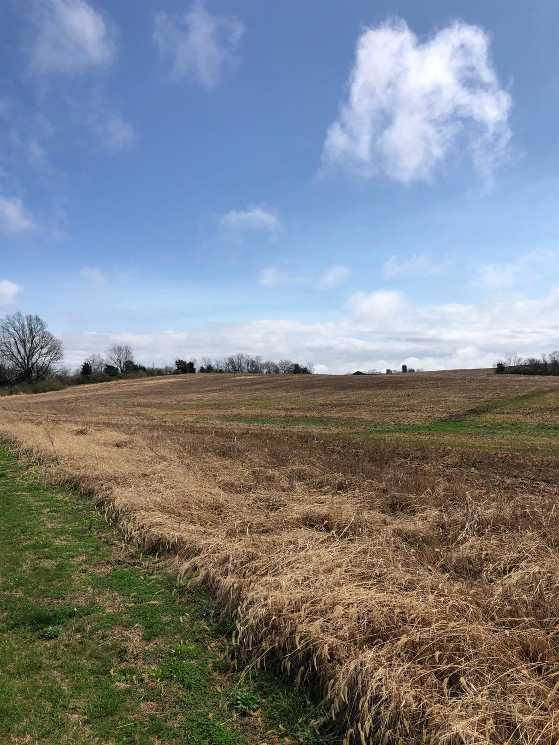 0 Waterworks Road Danville, KY 40422 - Photo 3 of 5 Photo 3