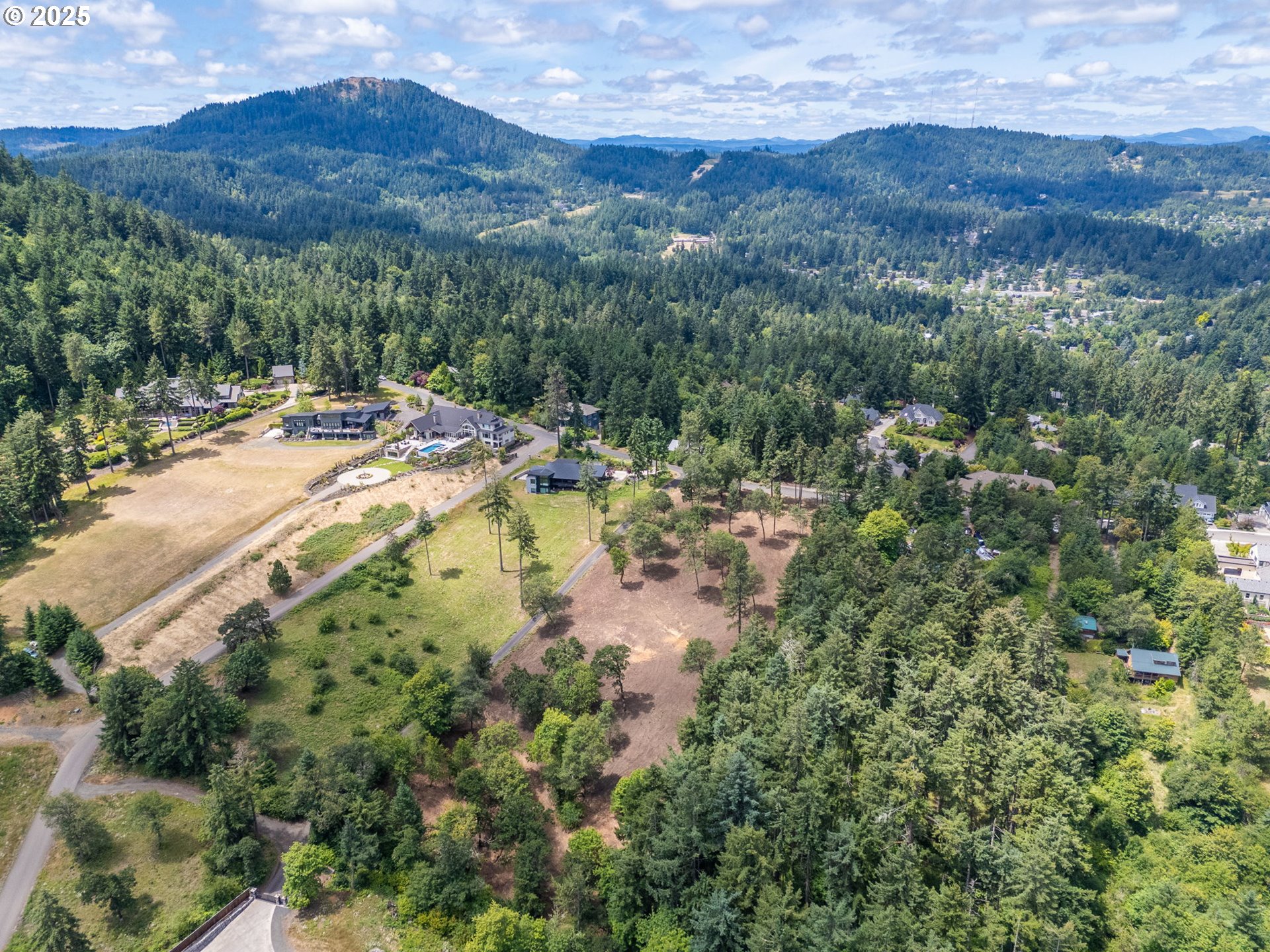 0 Spring Boulevard Eugene, OR 97405 - Photo 20 of 31 a view of a lake with mountains in the background