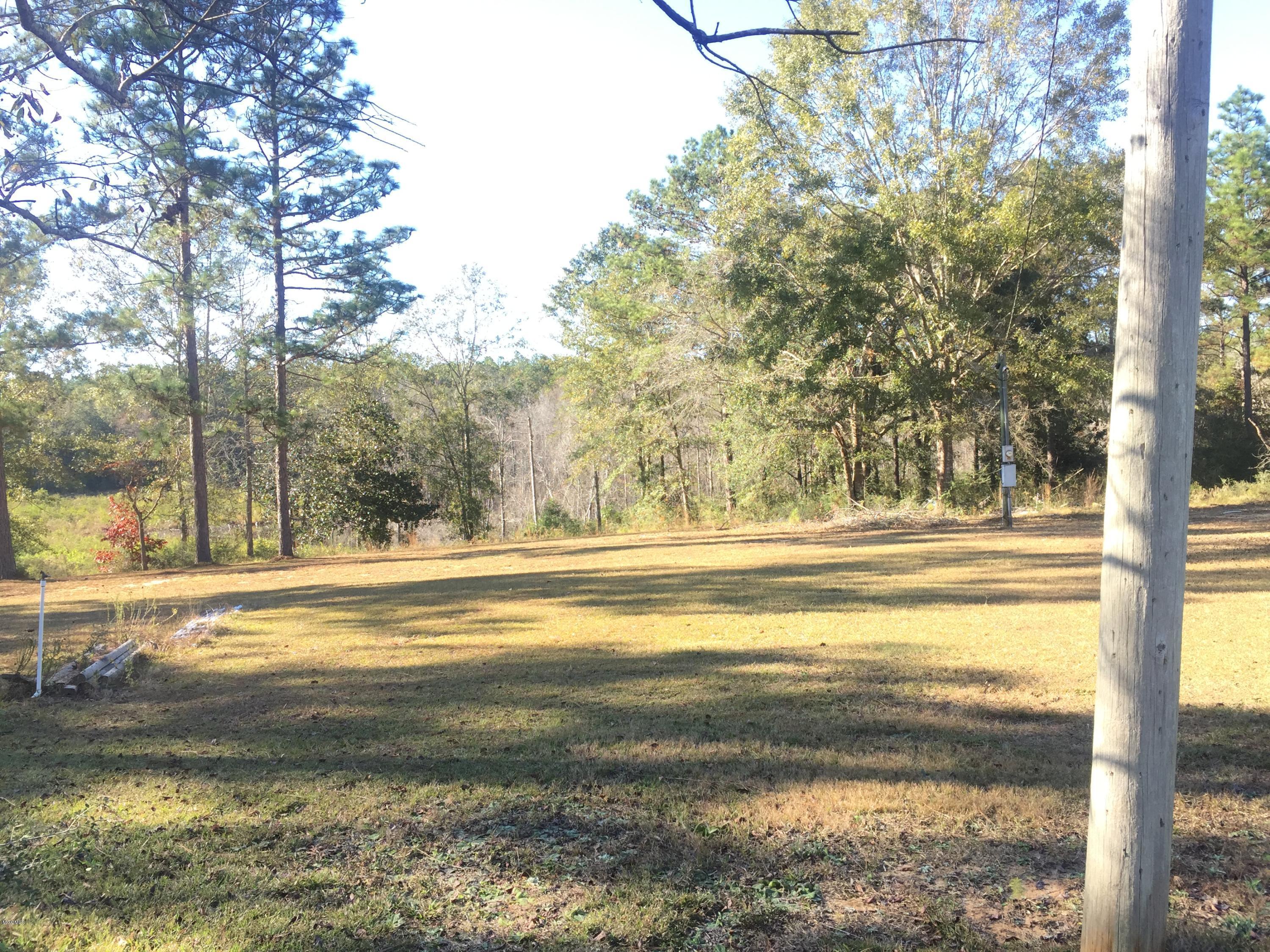 6510 Jim Ramsay Road Vancleave, MS 39565 - Photo 3 of 3 View from Jericho Rd