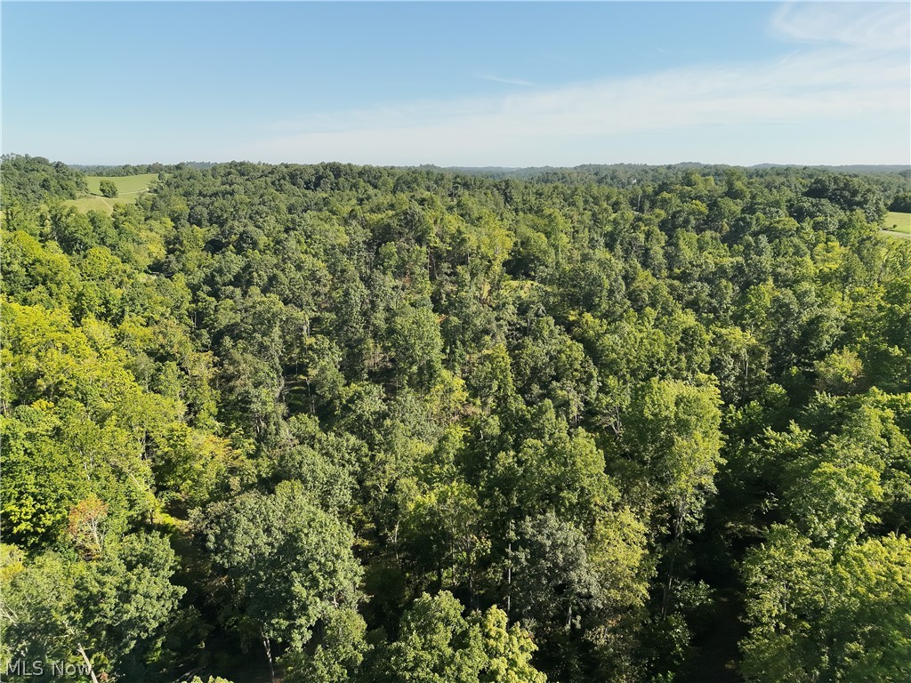 Spence Hill Road Caldwell, OH 43724 - Photo 28 of 49 Gallery Image 28