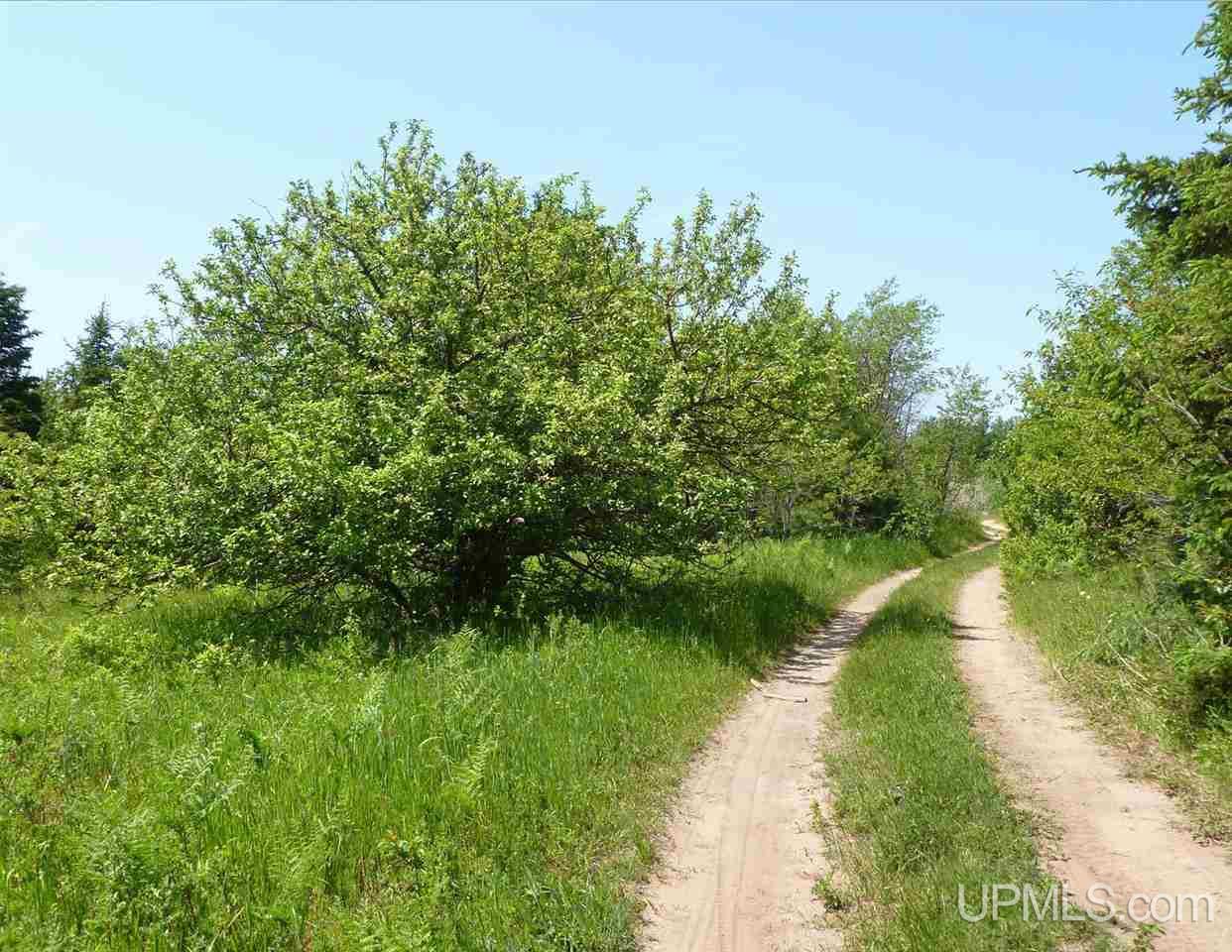 Tbd Gratiot River Road Iron Mountain, MI 49801 - Photo 9 of 11
