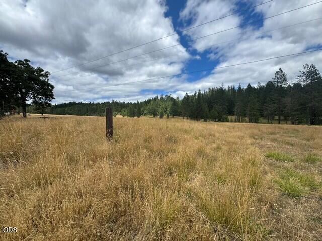 5345 West Side Road Cave Junction, OR 97523 - Photo 24 of 25