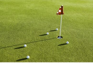 213 Fiddleback Drive Summerville, SC 29486 - Photo 21 of 21 Future Putting Green