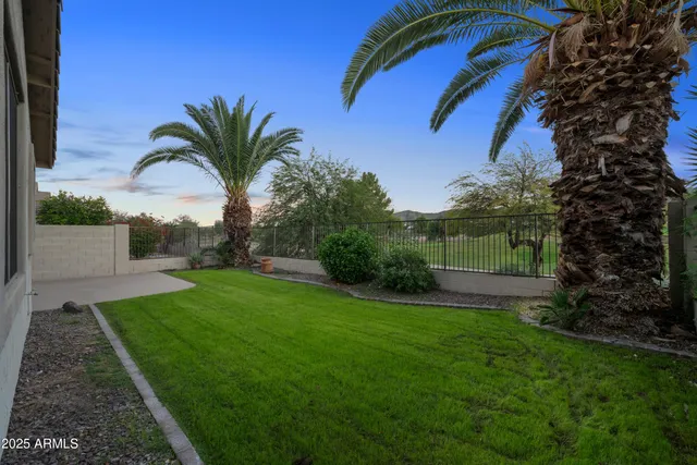 a view of a backyard with potted plants and palm trees