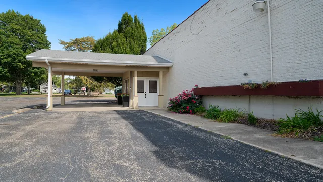 a view of a house with potted plants and a large tree
