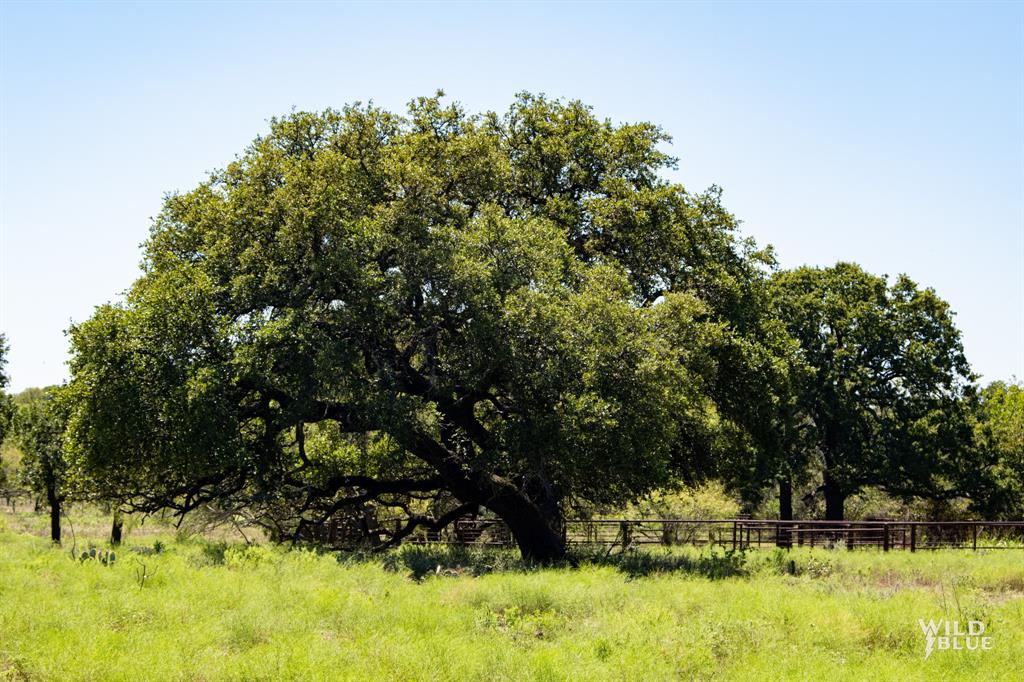 428 County Road 428 Rising Star, TX 76471 - Photo 12 of 30 a view of swimming pool with a yard