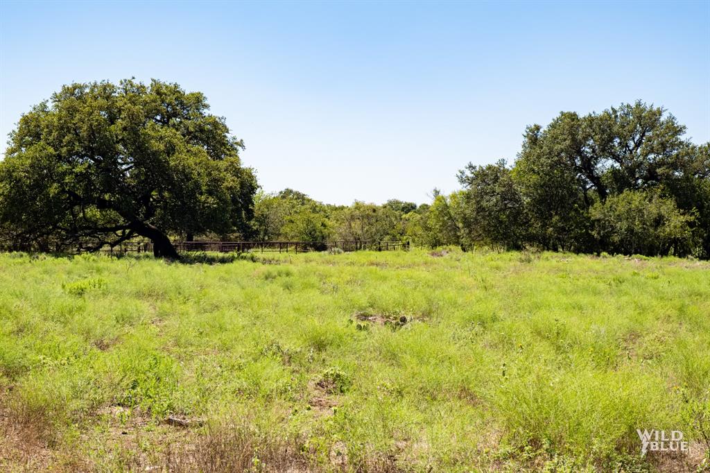 428 County Road 428 Rising Star, TX 76471 - Photo 14 of 30 a view of garden with trees