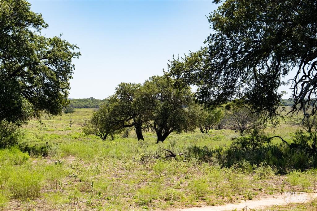 428 County Road 428 Rising Star, TX 76471 - Photo 15 of 30 a view of a yard