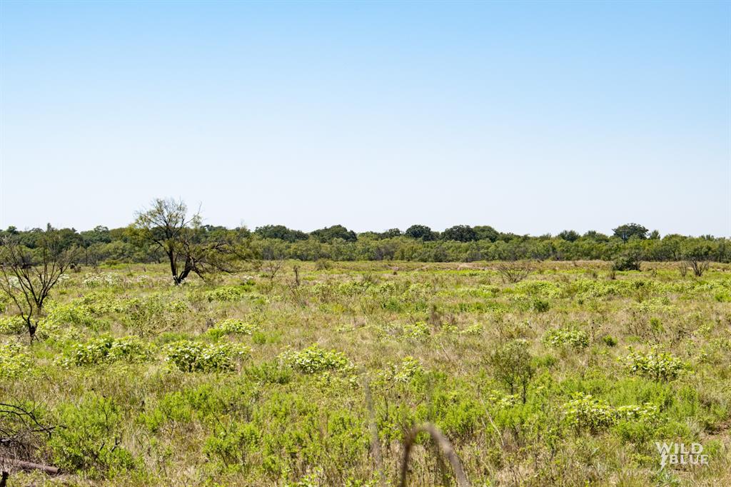 428 County Road 428 Rising Star, TX 76471 - Photo 22 of 30 a view of lake with mountain