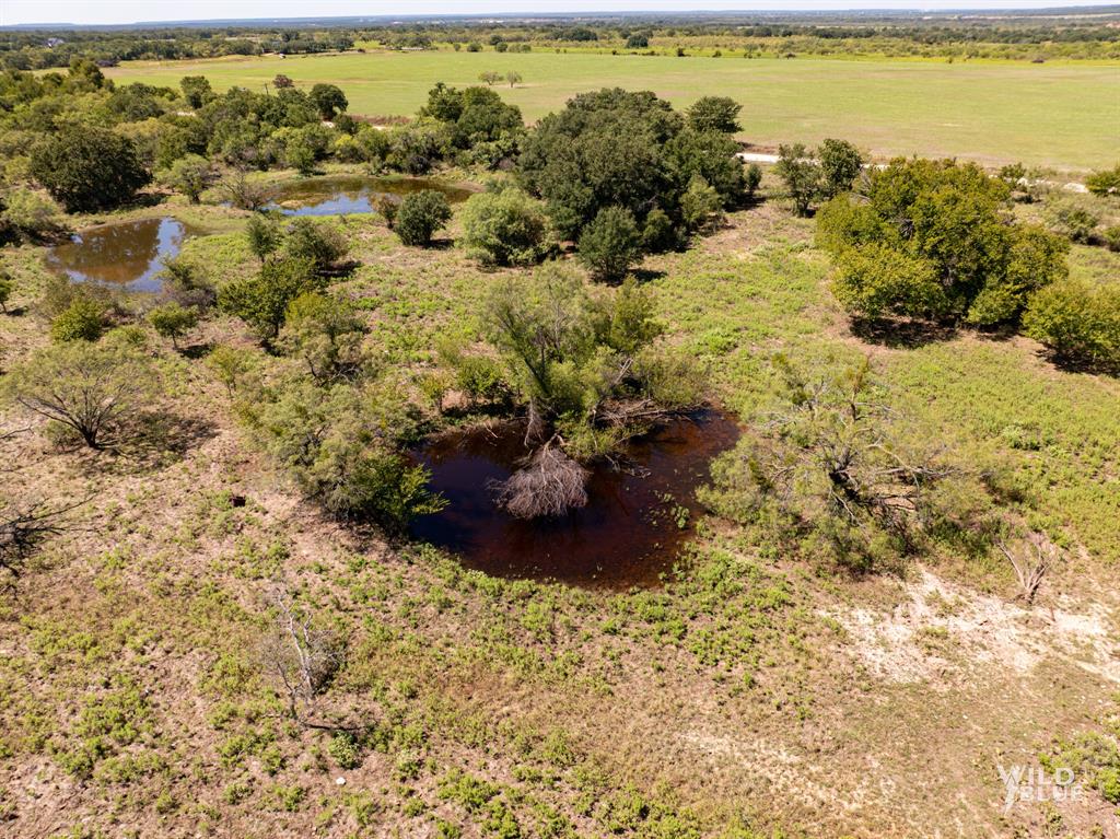 428 County Road 428 Rising Star, TX 76471 - Photo 3 of 30 a view of a yard with a tree
