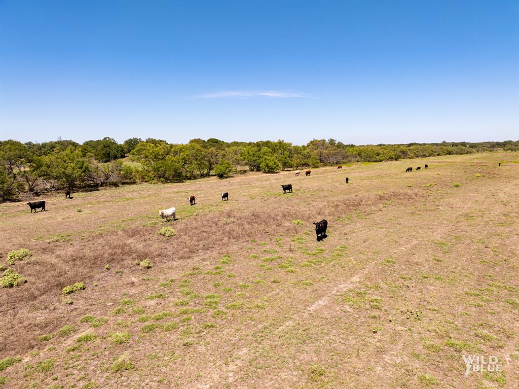 428 County Road 428 Rising Star, TX 76471 - Photo 9 of 30 a view of an ocean beach