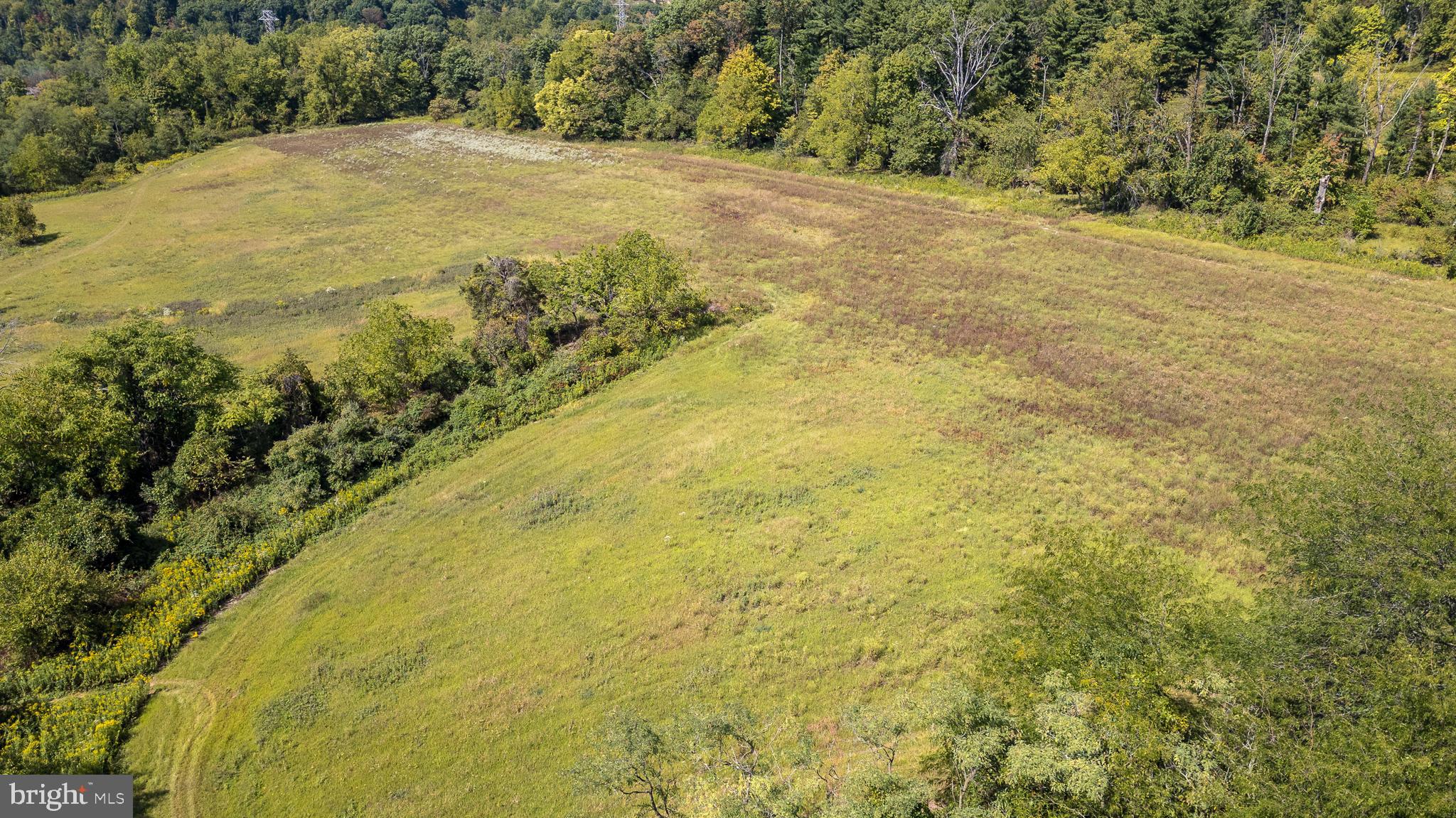 941 Penns Park Road Newtown, PA 18940 - Photo 5 of 14