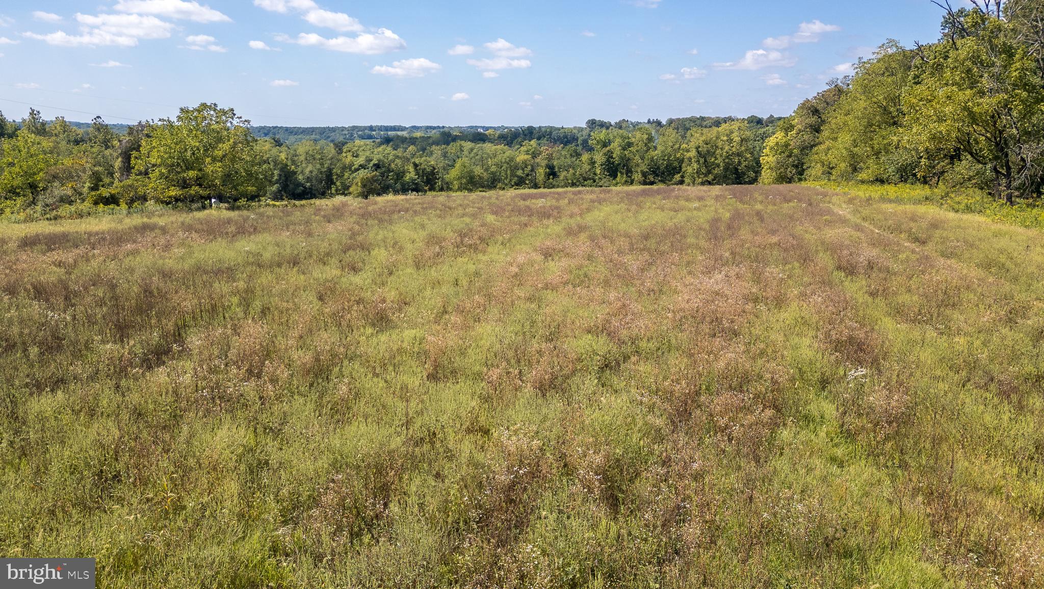 941 Penns Park Road Newtown, PA 18940 - Photo 8 of 14