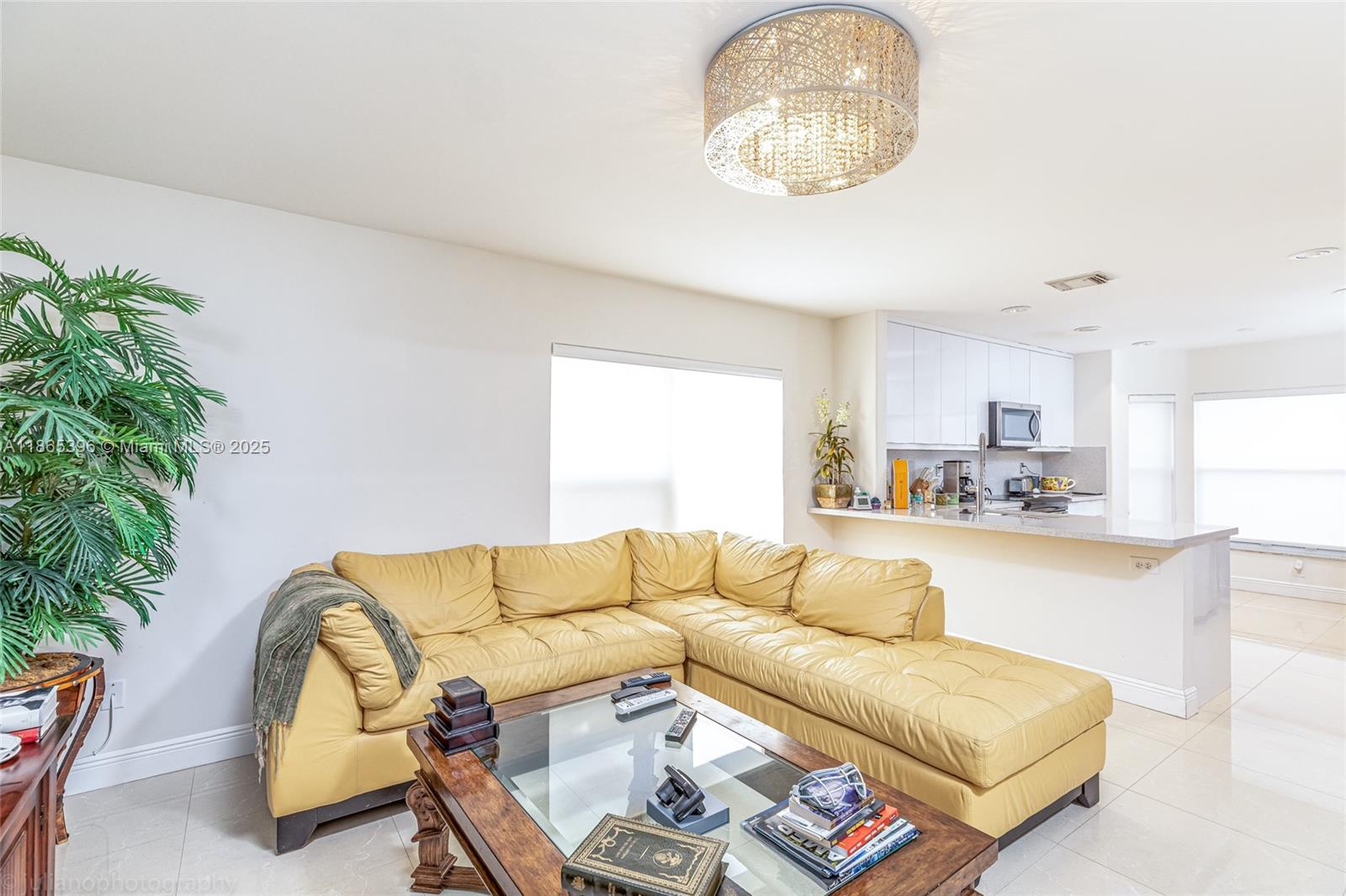 4913 Southwest 32nd Way Hollywood, FL 33312 - Photo 16 of 27 a living room with a couch and potted plant
