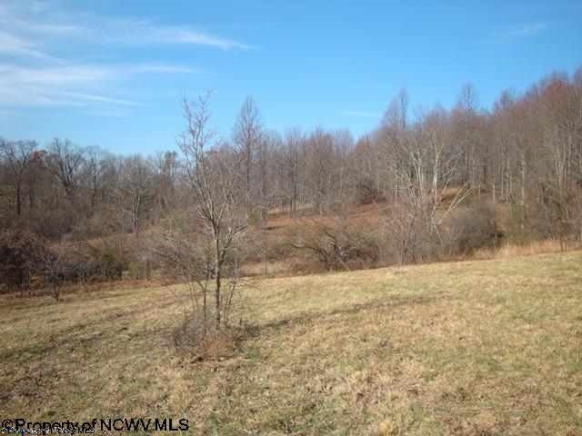 0 Spruce Fork Road Buckhannon, WV 26201 - Photo 14 of 15 Gallery Image 14