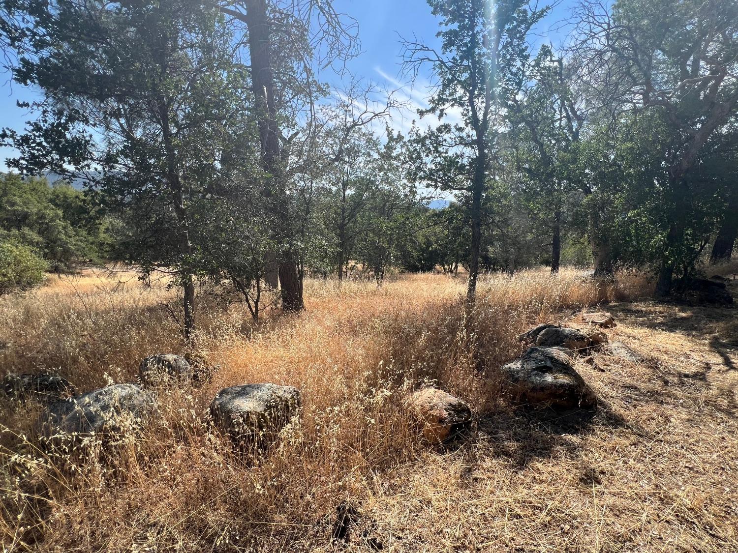 31040 Wyle Ranch Way North Fork, CA 93643 - Photo 23 of 31 Gallery Image 23