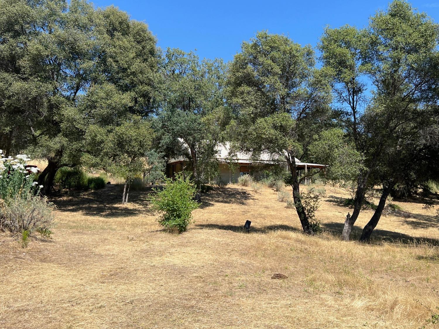 31040 Wyle Ranch Way North Fork, CA 93643 - Photo 30 of 31 Gallery Image 30