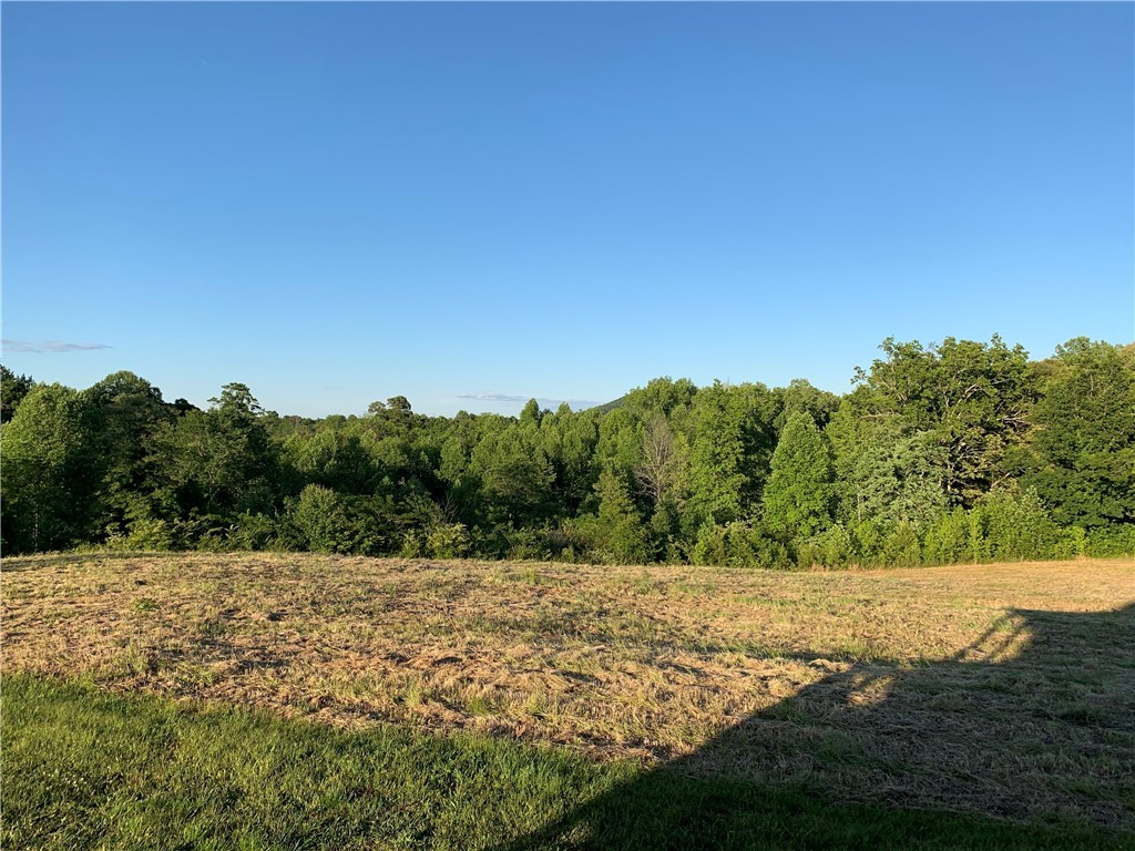 840 Mt Olivet Road Six Mile, SC 29682 - Photo 12 of 16