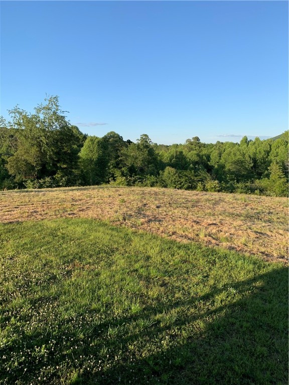 840 Mt Olivet Road Six Mile, SC 29682 - Photo 13 of 16