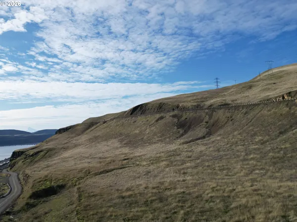 a view of a dry yard with trees