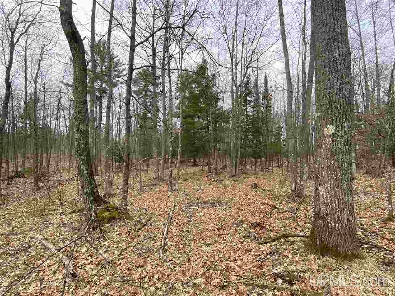 Tbd Plains Cutoff Road Baraga, MI 49908 - Photo 21 of 49