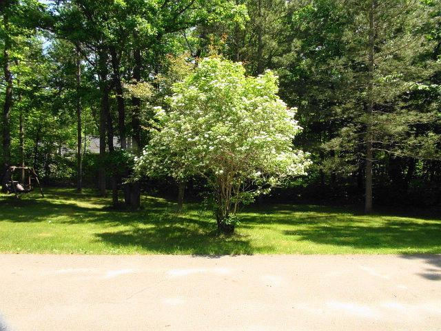 17136 Hidden Lake Road Fifty Lakes, MN 56448 - Photo 49 of 53