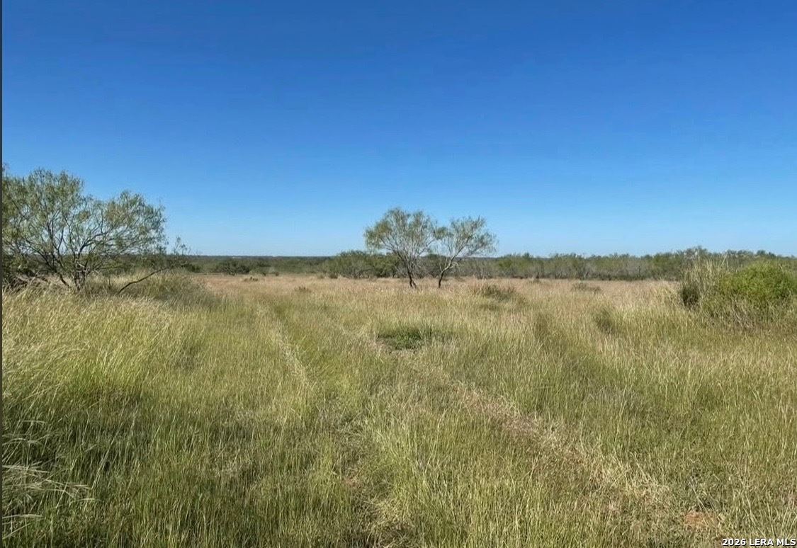 3968 Bluntzer Road Jourdanton, TX 78026 - Photo 15 of 39