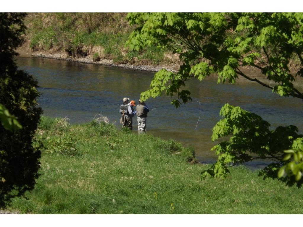 154 River Road Deposit, NY 13754 - Photo 21 of 24 Gallery Image 21