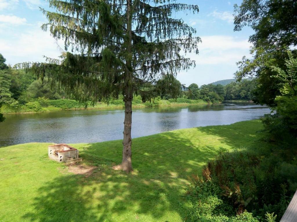 154 River Road Deposit, NY 13754 - Photo 24 of 24 Gallery Image 24