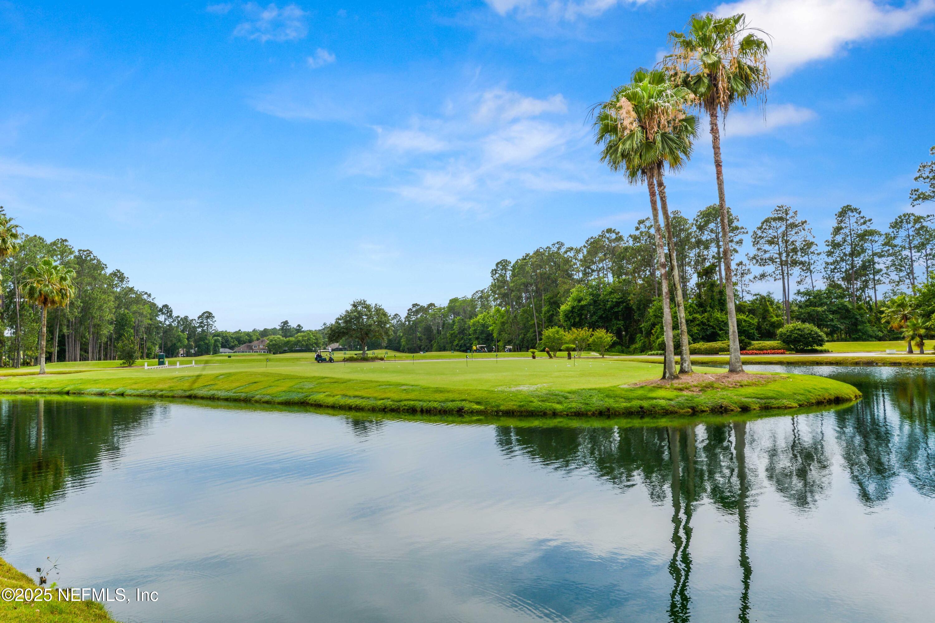 1655 Highland View Court Fleming Island, FL 32003 - Photo 51 of 56 a view of a lake with a yard and palm trees