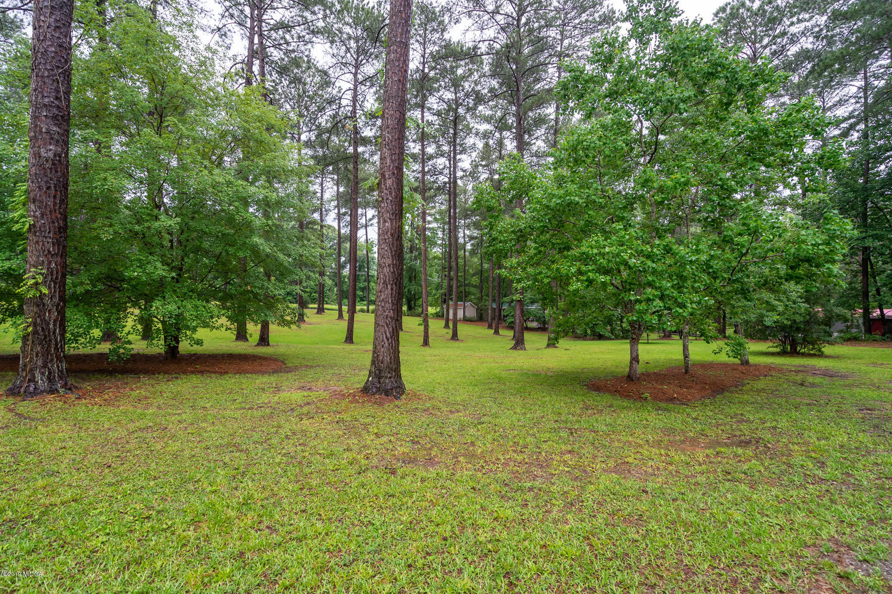 5934 Dames Ferry Road Juliette, GA 31046 - Photo 41 of 41 a view of a trees in a yard