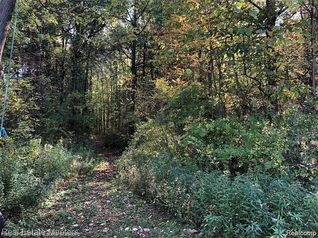 7627 Lapeer Road Goodells, MI 48027 - Photo 2 of 7