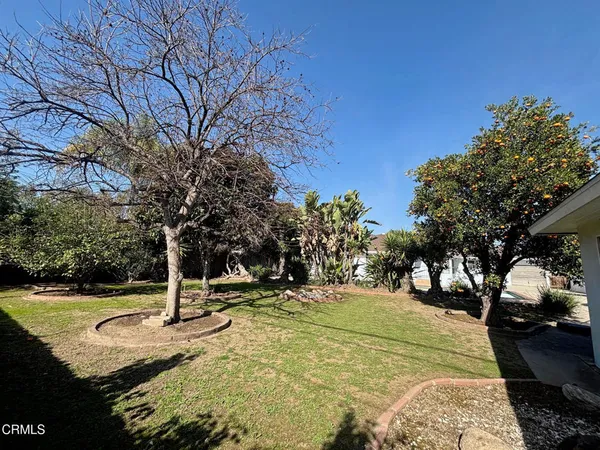 a view of a park with large trees