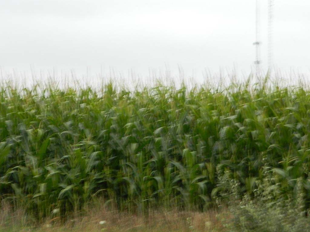 Tbd South Coldwater Road Blanchard, MI 49310 - Photo 8 of 8