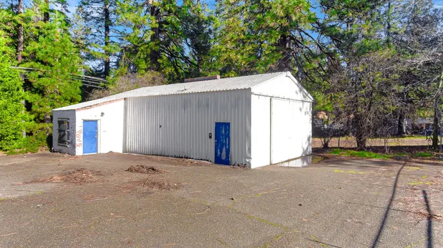 a backyard of a house with plants and large trees