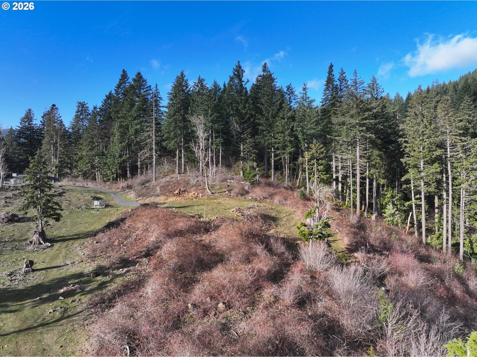 562 Woodard Creek Road Stevenson, WA 98648 - Photo 22 of 33