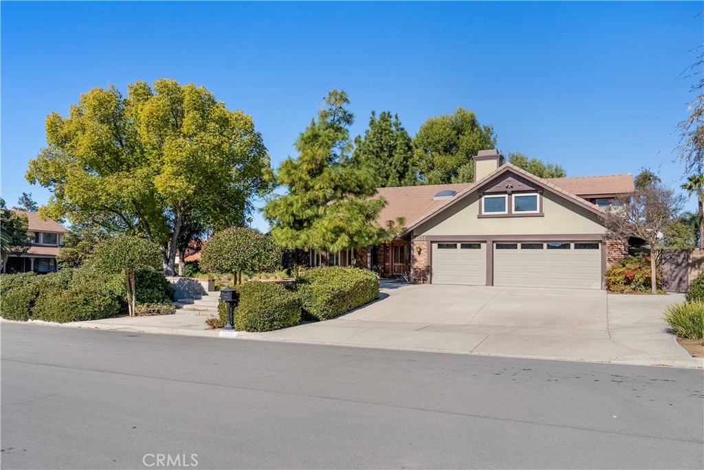 a white house with a large tree in front of it