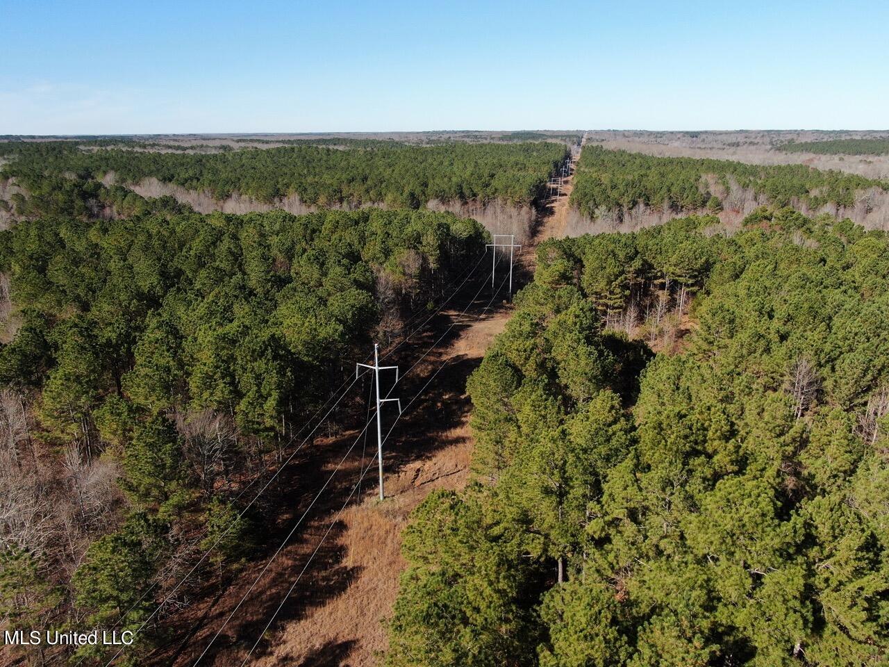 0 Robison Road Batesville, MS 38606 - Photo 13 of 13 (13)Powerline Large
