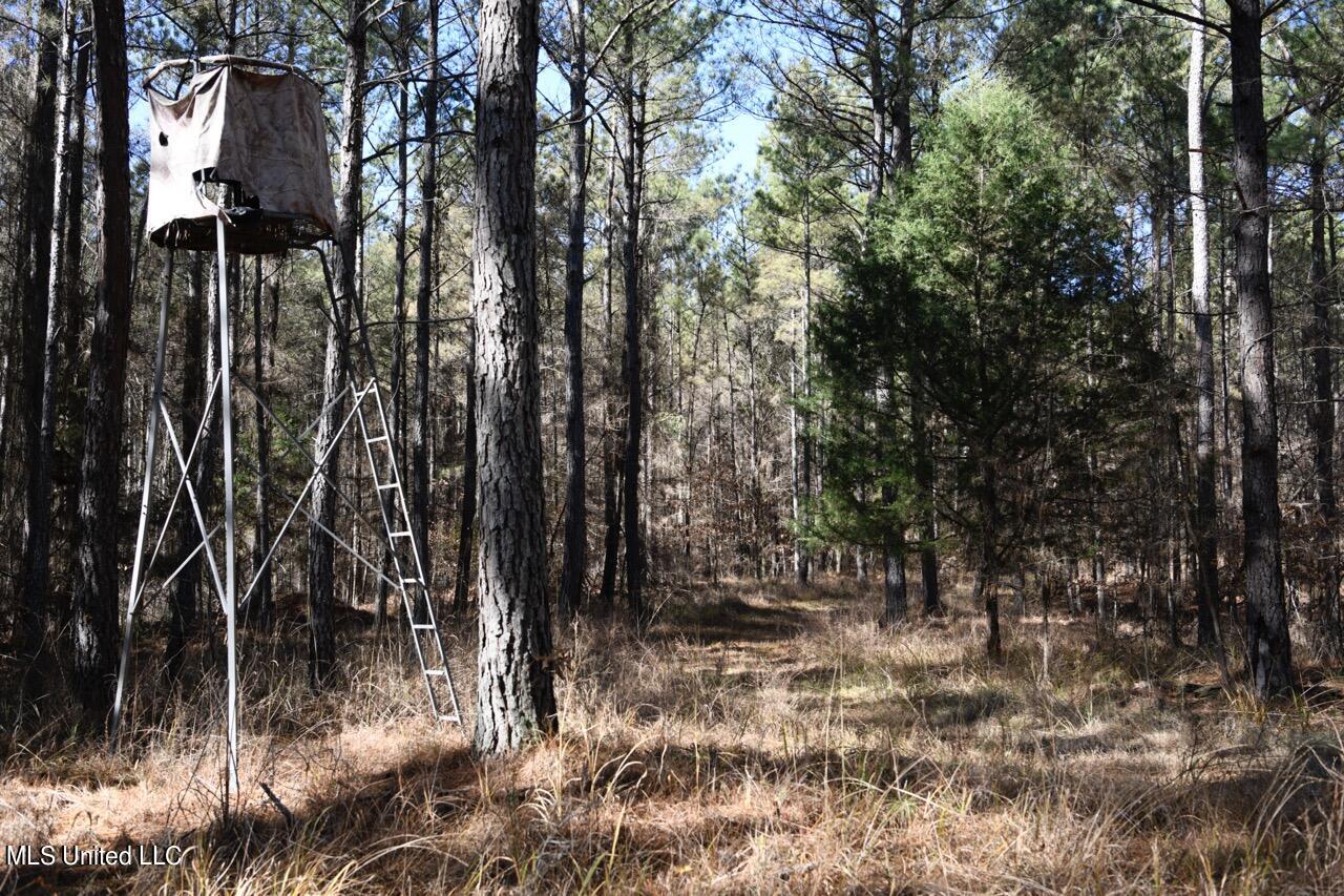 0 Robison Road Batesville, MS 38606 - Photo 3 of 13 (3)Tripod Large