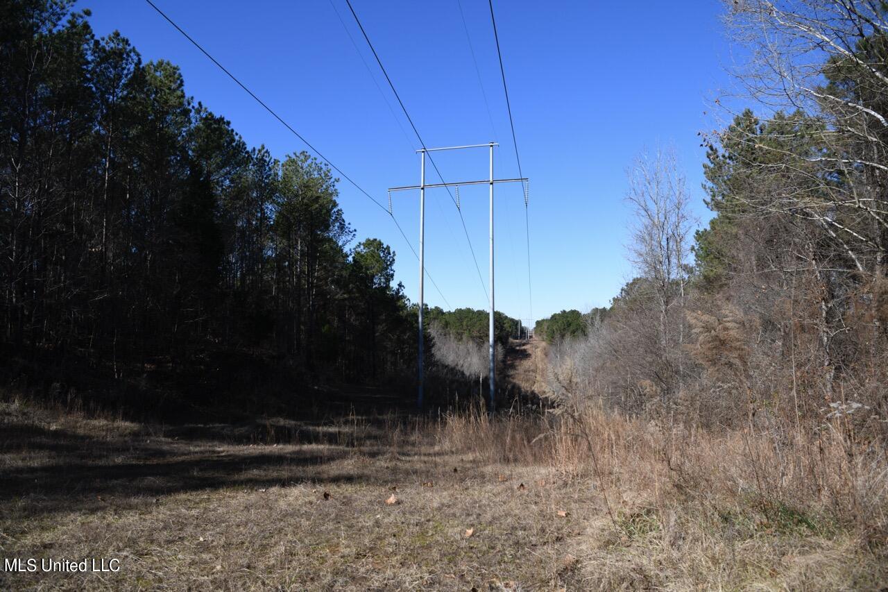 0 Robison Road Batesville, MS 38606 - Photo 8 of 13 (8)Powerline Large