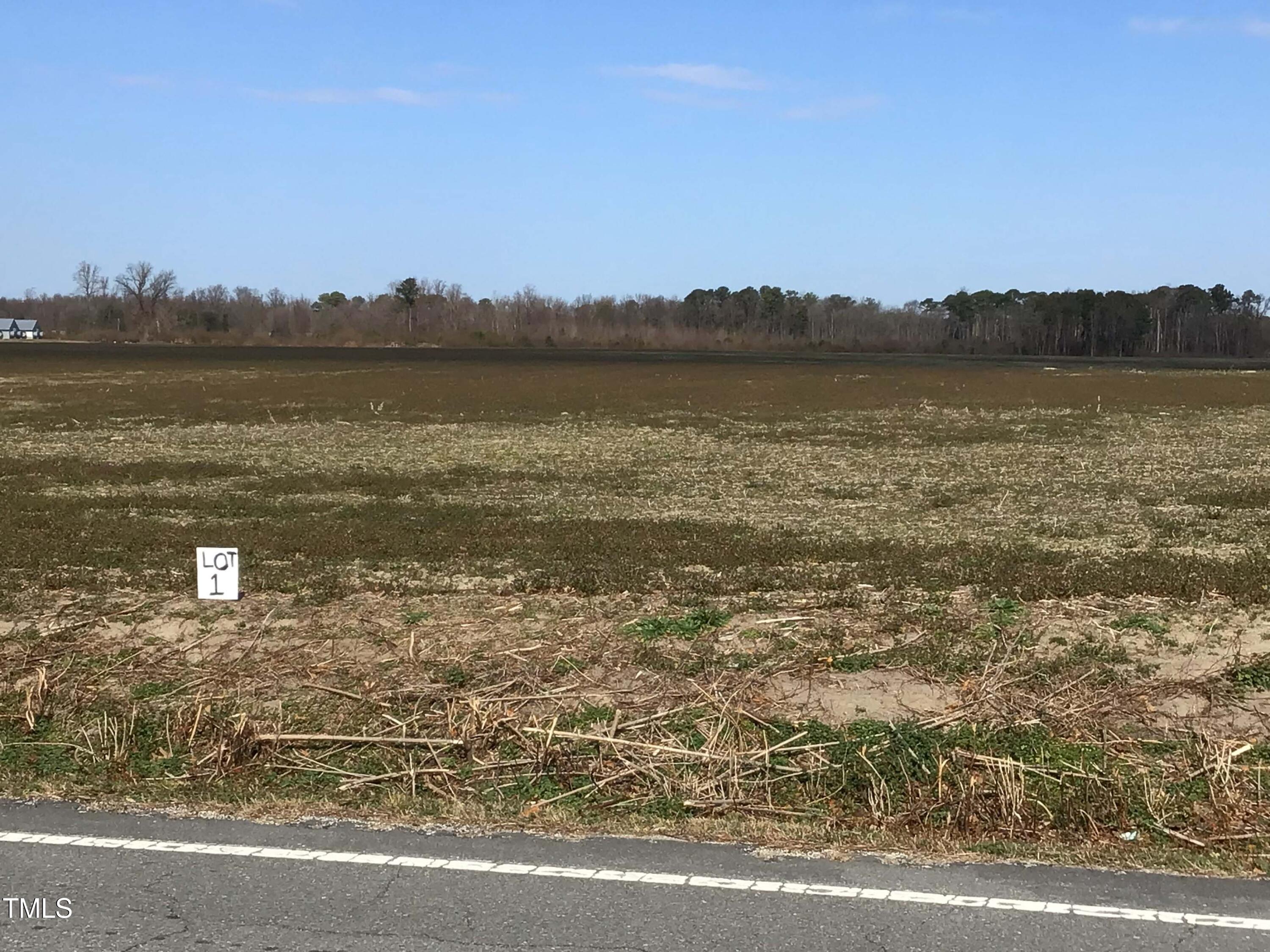 Lot 1 Sarecta Road Pink Hill, NC 28572 - Photo 2 of 9 Lot 1 (3)