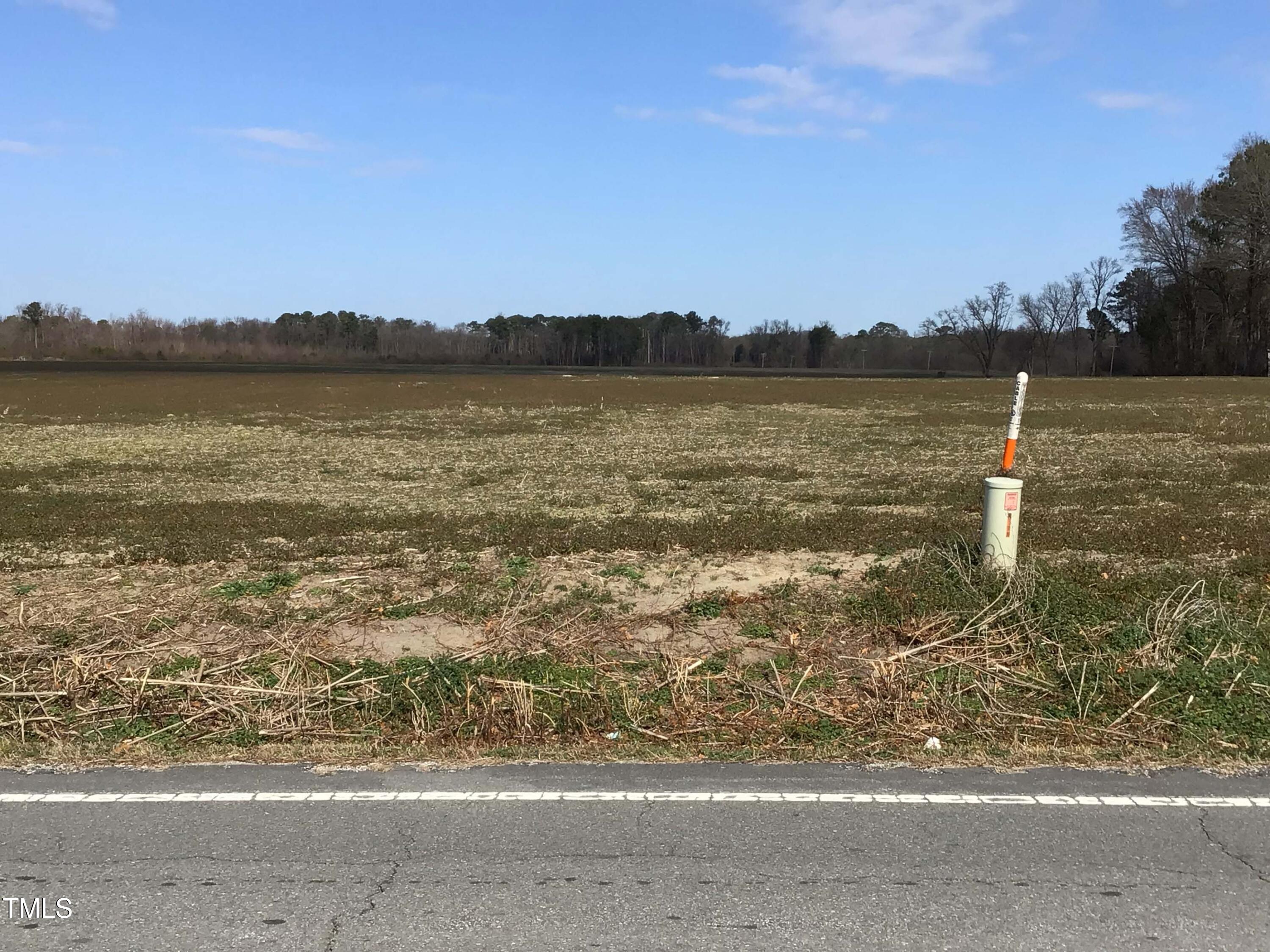 Lot 1 Sarecta Road Pink Hill, NC 28572 - Photo 3 of 9 Lot 1 (4)