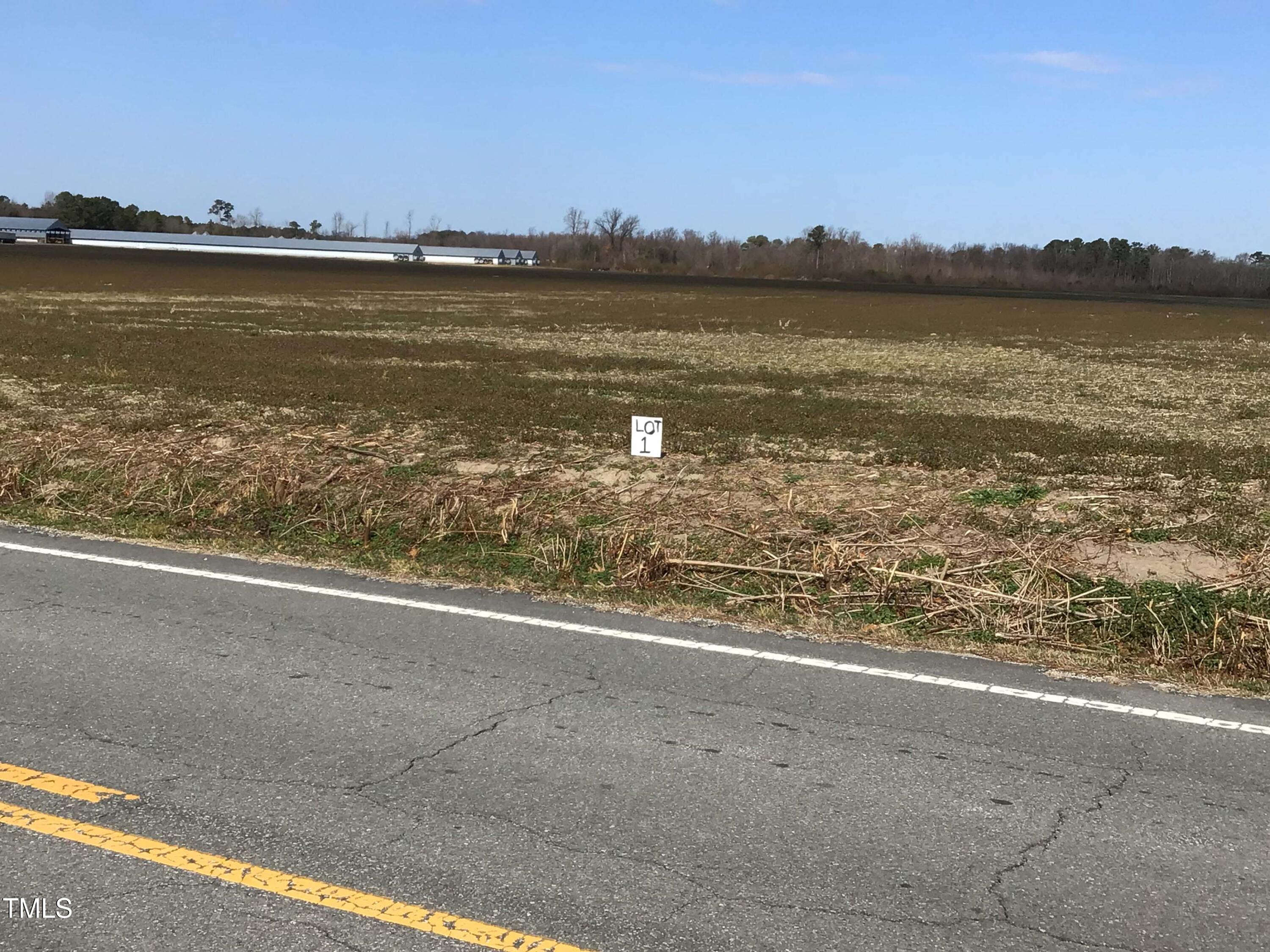Lot 1 Sarecta Road Pink Hill, NC 28572 - Photo 4 of 9 Lot 1 (5)