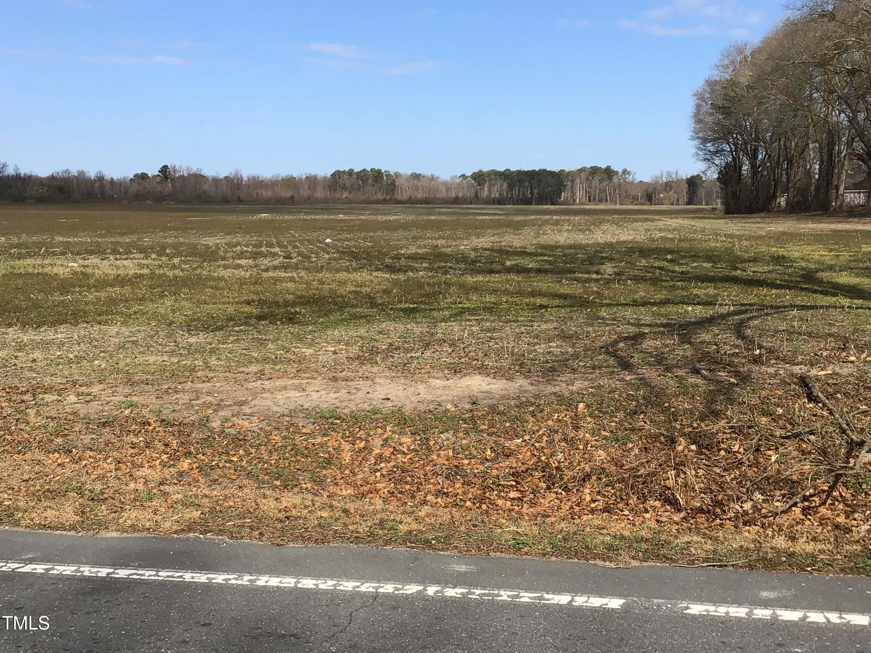 Lot 1 Sarecta Road Pink Hill, NC 28572 - Photo 6 of 9 Lot 1 (7)