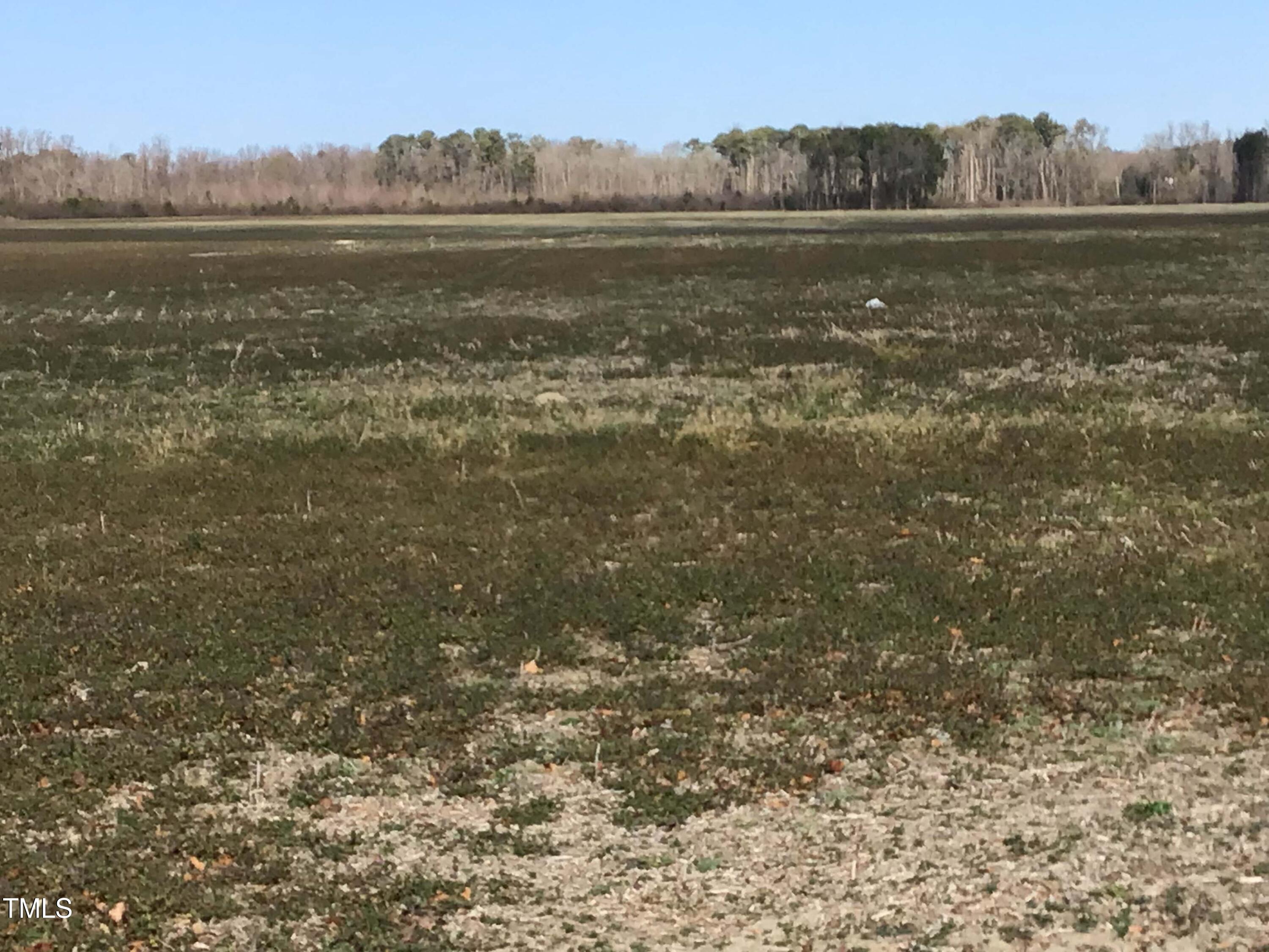 Lot 1 Sarecta Road Pink Hill, NC 28572 - Photo 7 of 9 Lot 1 (9)