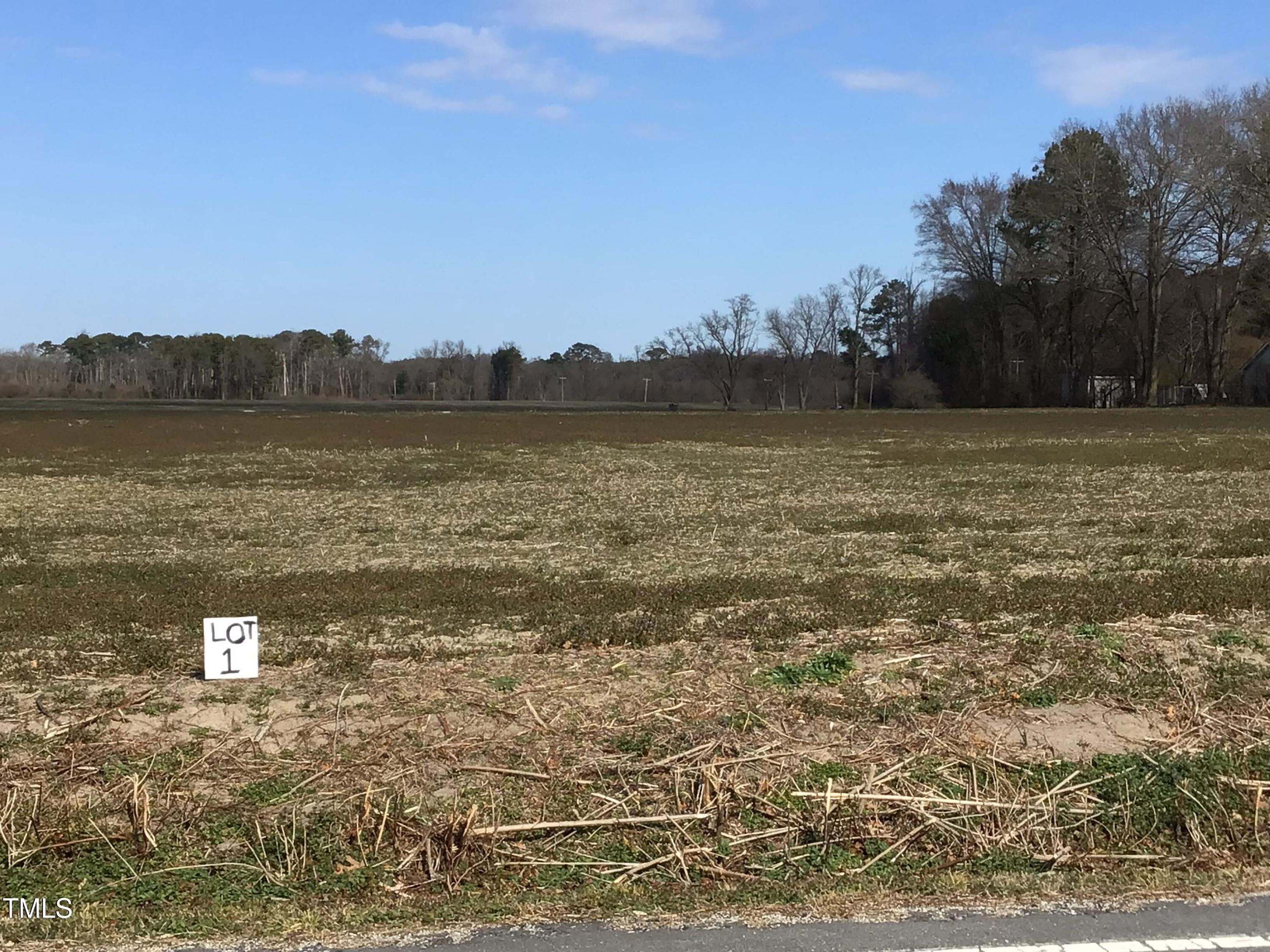 Lot 1 Sarecta Road Pink Hill, NC 28572 - Photo 8 of 9 Lot 1 (10)