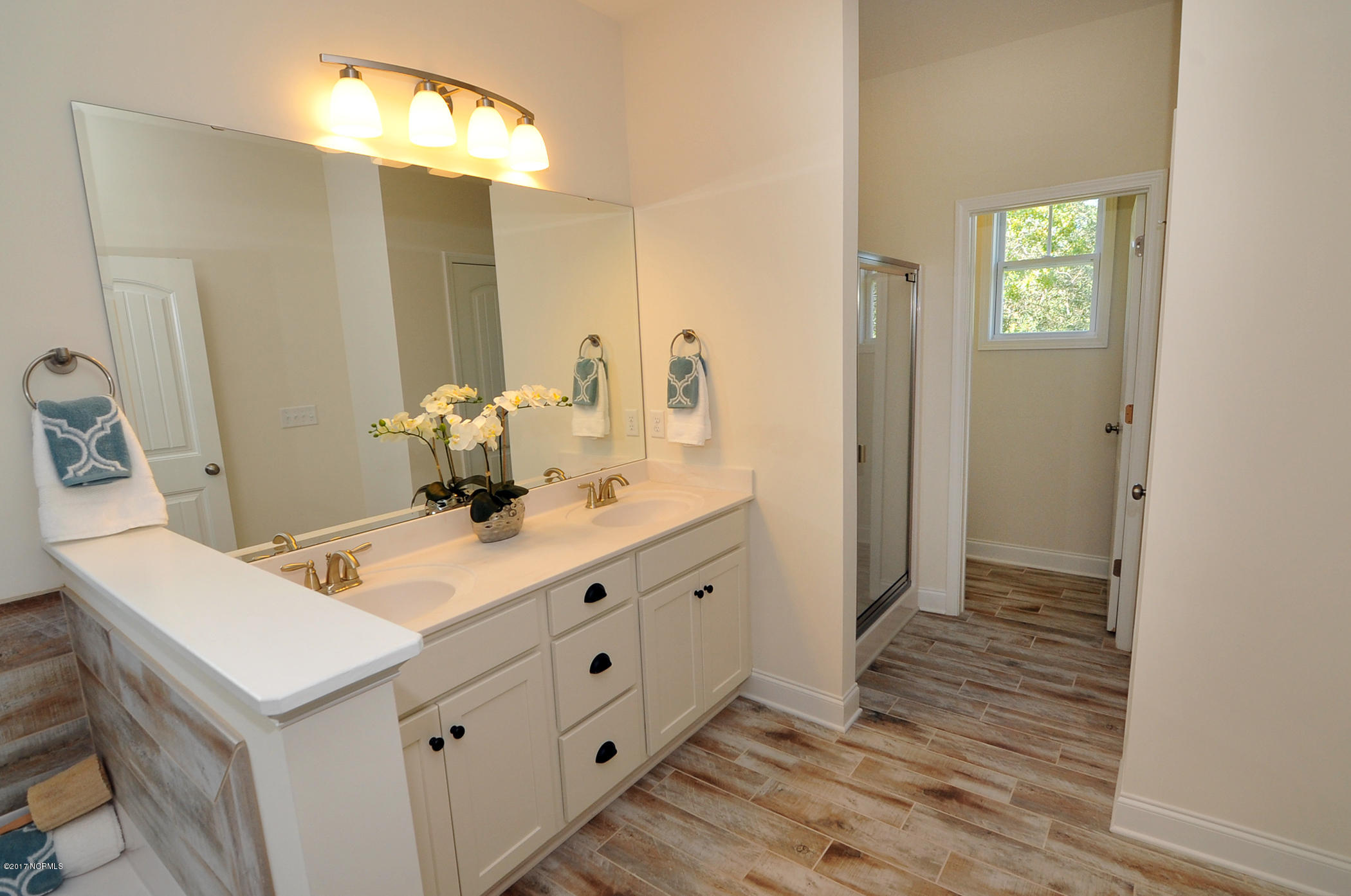 320 Tralee Road Wilmington, NC 28412 - Photo 10 of 17 Mastr Bath