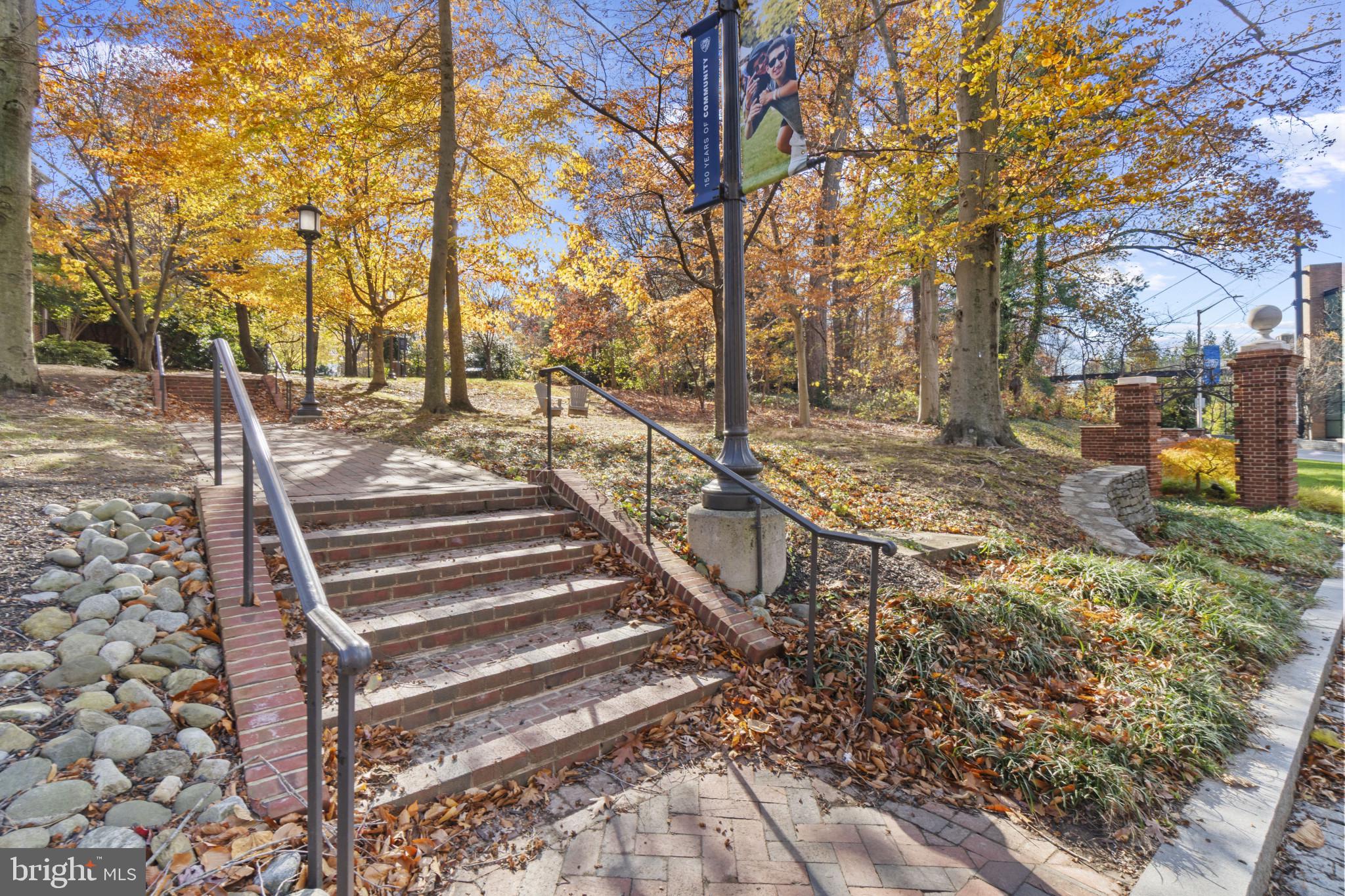 3461 Keswick Road Baltimore, MD 21211 - Photo 30 of 33 a view of a yard with plants and trees